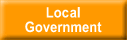 local government