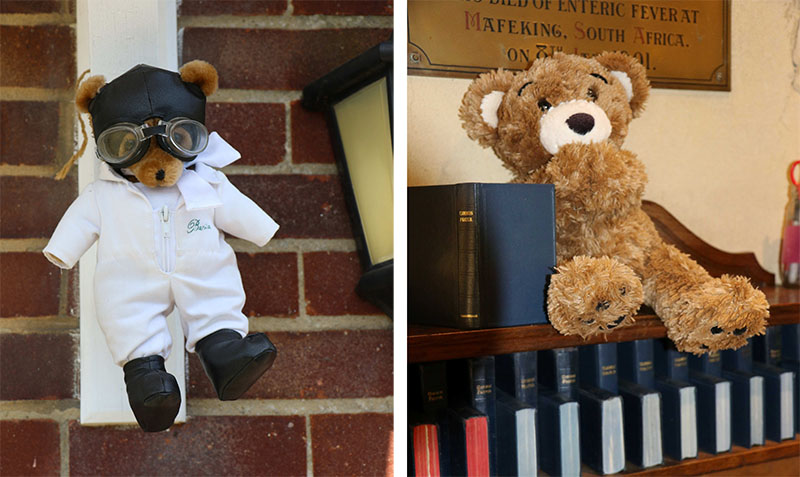 picture of teddy bears