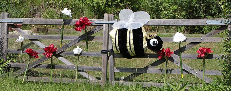 picture of queen bee scarecrow