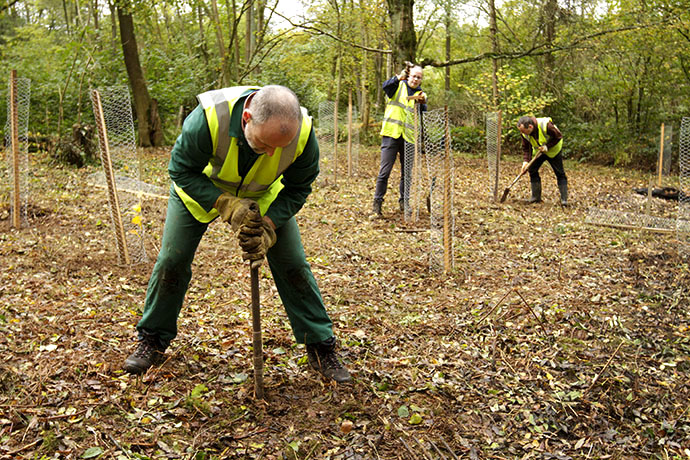 Volunteers at Greyfiel Wood